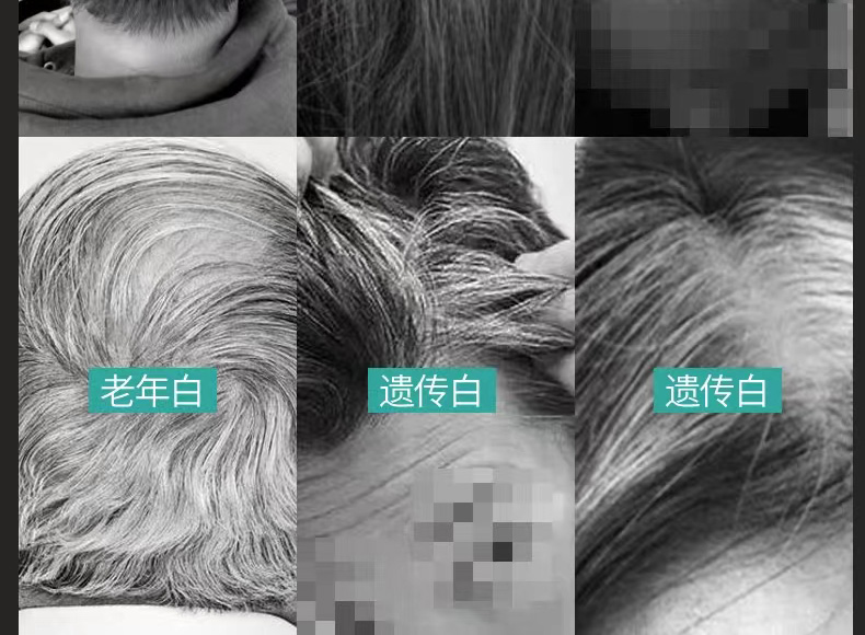 1乌芝九润02.jpg